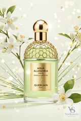 guerlain-Decant-Travel Size 3ml-5ml-8ml VinScentzfragrances